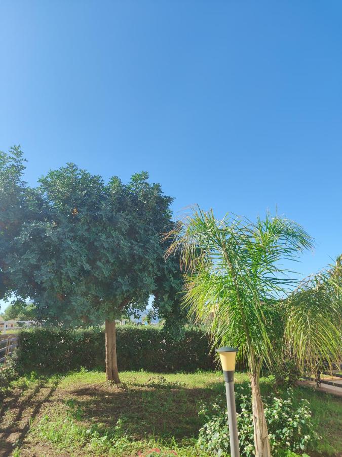 Villa Castiglione Custonaci Εξωτερικό φωτογραφία